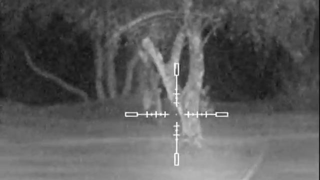 showing the 4 settings on a N1000AP laser .AVI смотреть онлайн