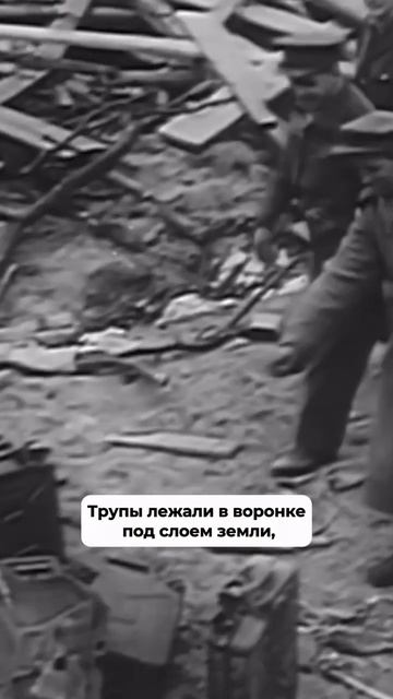 Как командование СССР узнало о смерти Гитлера #история #СССР #Гитлер #shorts смотреть онлайн