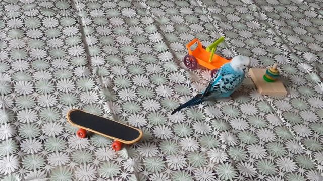 Скейт , тележка и Тоша смотреть онлайн