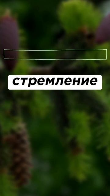 №16 Перевод слов: Русский - Английский #shorts #english #russian #английский #переводслов смотреть онлайн