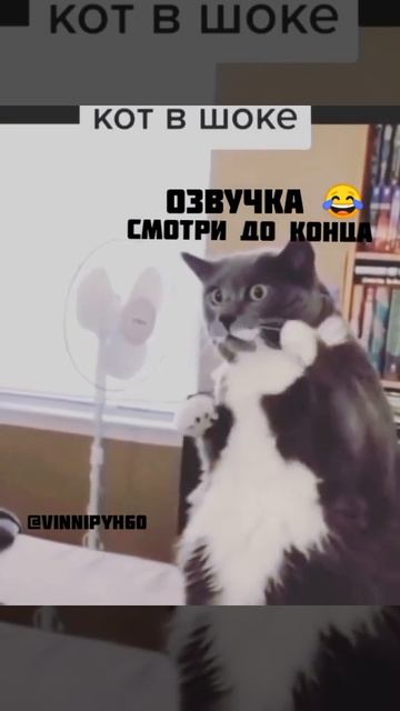 😂Когда родственники отправили 😂 детей на каникулы 😂😂😂 смотреть онлайн