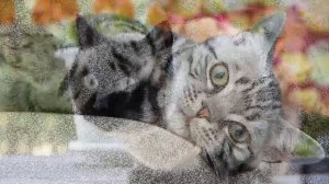 В чужом краю 7 серия | Сериал 2018 - Новинка