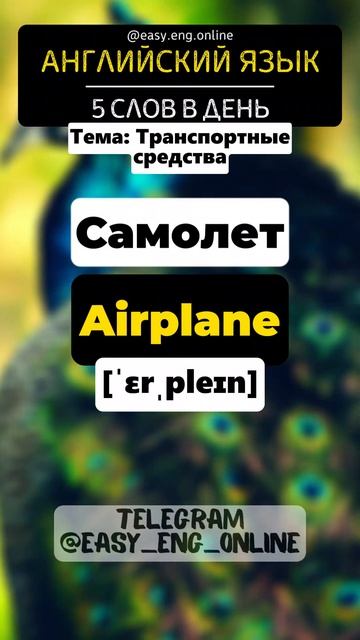🤓🇬🇧 Учи по 5 слов в день. 🇬🇧 АНГЛИЙСКИЙ ЯЗЫК (23) 👩🏫 Английские слова ‼️ смотреть онлайн