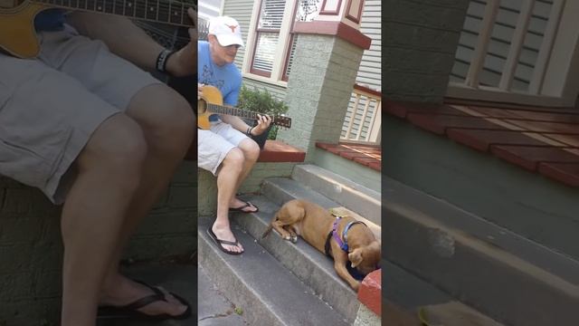 Song of a homeless dog, Red смотреть онлайн