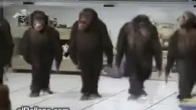 Танцующие обезьяны!!! смотреть онлайн
