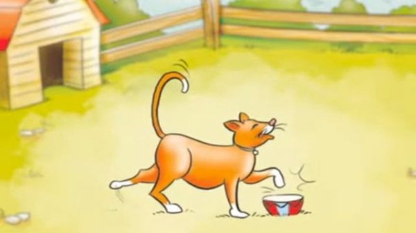 Starlight Starter Module 7 - 3