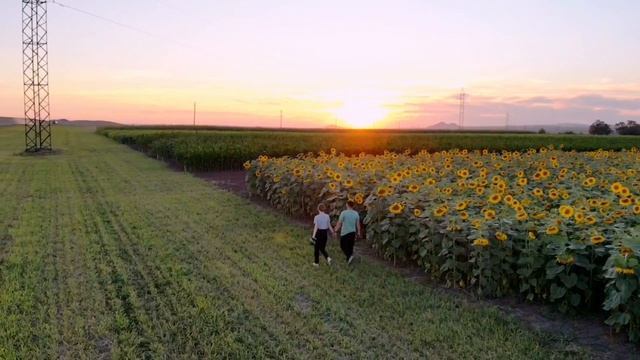 Мен сені сүйемін 💛 смотреть онлайн