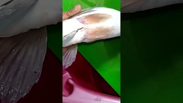 як приготовить судака смотреть онлайн