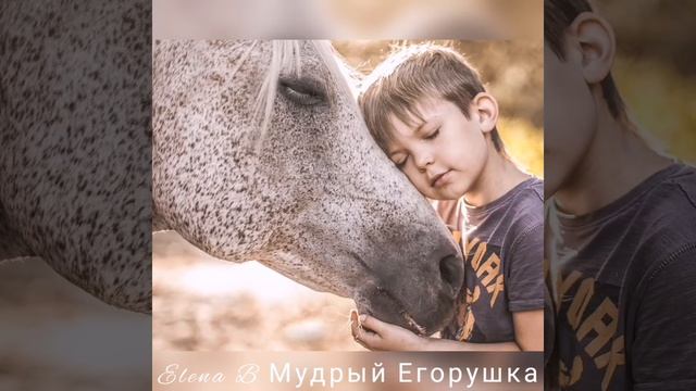 Мудрый Егорушка. История для детей и взрослых от Богородицы. смотреть онлайн