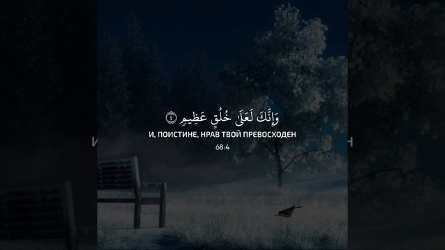 сура "НУН". смотреть онлайн