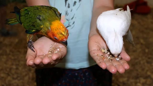 А Вы знаете что такое ЗОЖ? смотреть онлайн