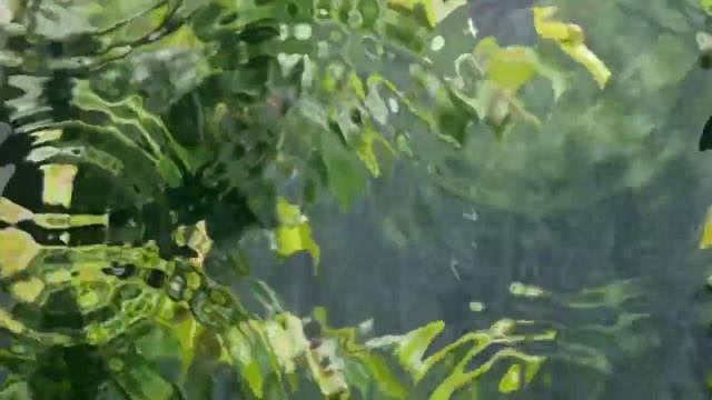 Rain and thunder. relaxation дождь и гром , релакс смотреть онлайн