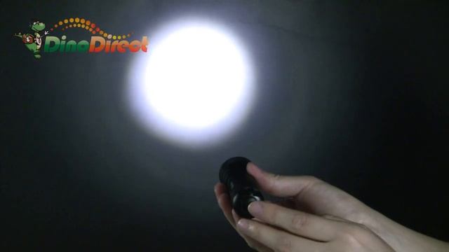 FiFire X7(Cree Q5 LED) Adjust Focusing LED Tactical Flashlight(3*AAA included) from Dinodirect.co смотреть онлайн