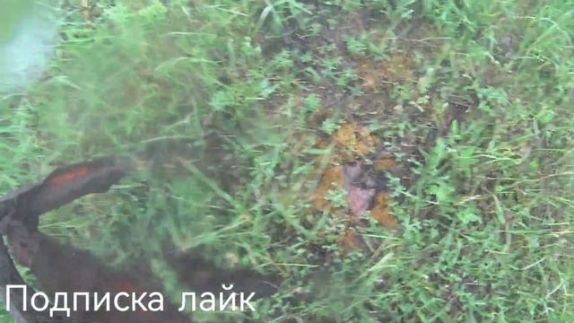 коп металла на новой ферме,#коп #металлокоп #зароботок смотреть онлайн