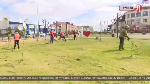 В трудовой вахте примут участие 150 уренгойских школьников смотреть онлайн