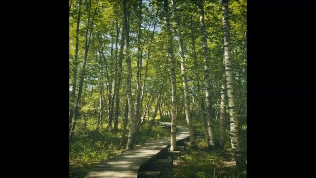 Квартира номер 6 - Твій сум смотреть онлайн