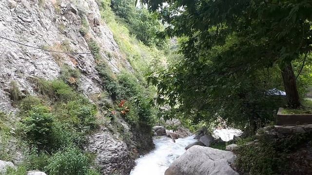 wildlife живая природа в Таджикистане смотреть онлайн