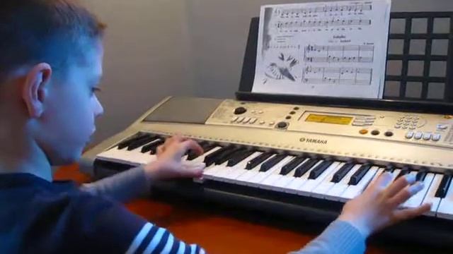 Gama C-dur zagrana dwoma rękami-wyk. Maksymilian Honkisz смотреть онлайн