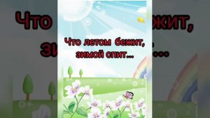 Мир вокруг нас