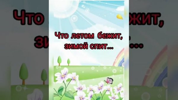 Мир вокруг нас