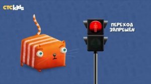 правило дорожного движения с котом кубокотом:_____________:)