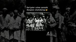 Qarg'alar uchsa qaraylik, Marg'ulonning yo'liga. qo'shig'ining ma'nosi.
