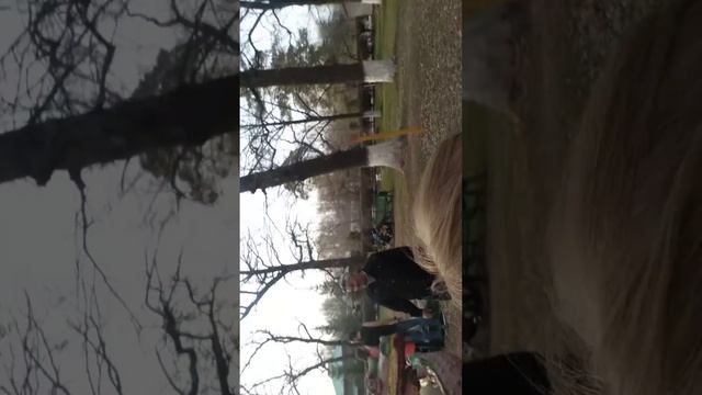 Парк отдыха.Детям очень весело смотреть онлайн