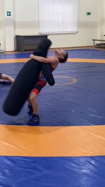 #wrestlemania #чемпион #wrestling #борьба