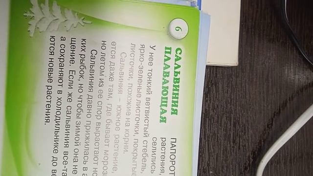 Энциклопедия живой природы. 1 сезон: Растения. 6 серия: Сальвиния плавающая. смотреть онлайн