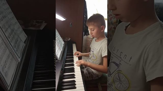 Дистанционное обучение по классу фортепиано Салимов Максим