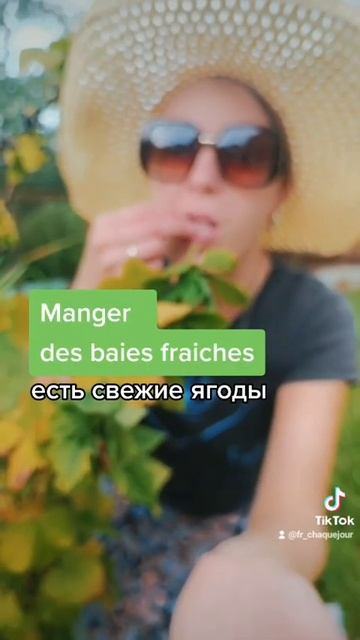 Французский каждый день. A LA CAMPAGNE (за городом) смотреть онлайн