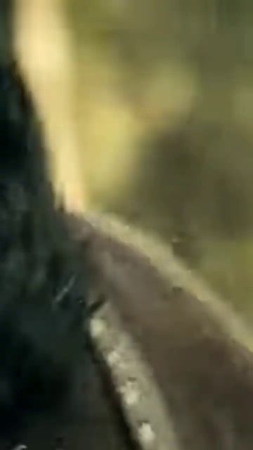 Osman Bey İnfazları Edit