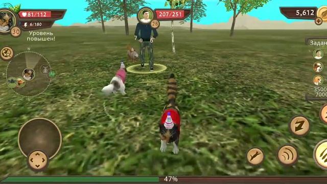 НАПАЛИ НА ТИГРА! СИМУЛЯТОР МАЛЕНЬКОГО КОТЕНКА (CatSim) #8 смотреть онлайн