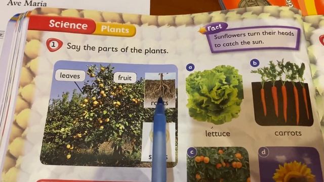 Английский язык: Kid’s box 3 Pupil’s book p.60/14.02.22 смотреть онлайн