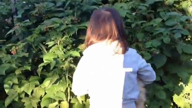 Малиновый HomeVlog❤️🍓 смотреть онлайн