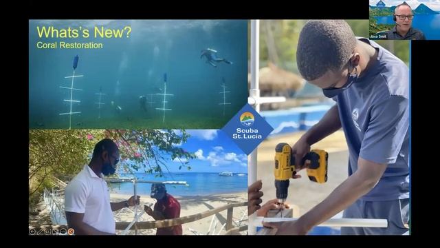 Saint Lucia Trade Dive Webinar смотреть онлайн