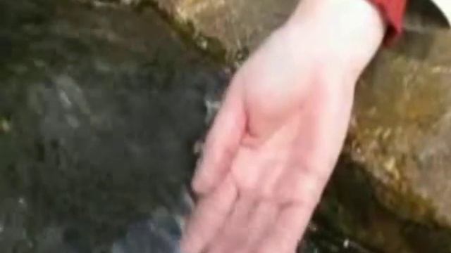 Живой родник смотреть онлайн