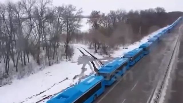 ⚡️Белгород. Колонна автобусов готова встречать беженцев из Украины смотреть онлайн