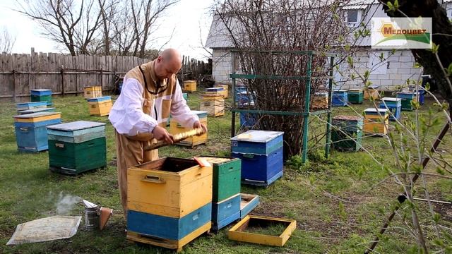 Зимовка на инновационной рамке смотреть онлайн