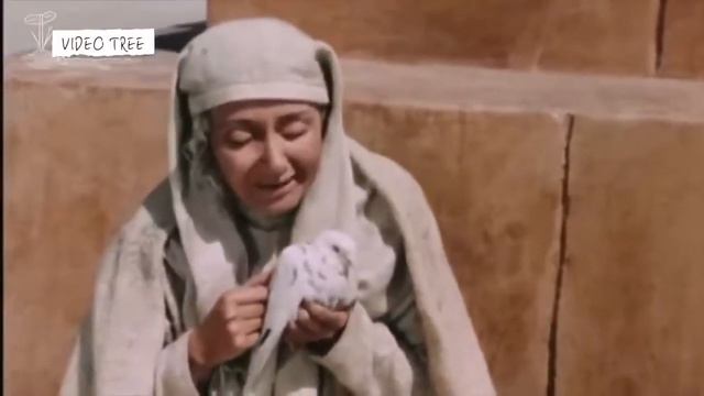 Хазрати Юсуф кисми 35