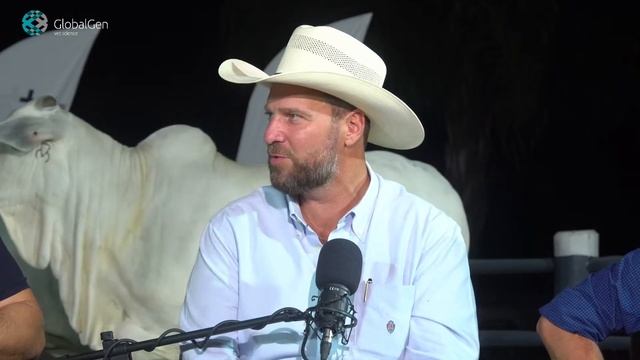 Acelerando na Cria na Terra do Zebu - O que as fazendas que apostam na cria estão fazendo? смотреть онлайн