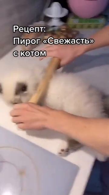 ПИРОГ ИЗ КОТА (ПРОСТОЙ РЕЦЕПТ) 2021. #shorts смотреть онлайн