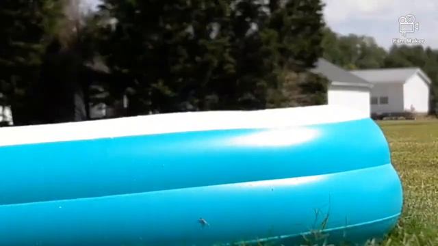 Dirty pool fight смотреть онлайн
