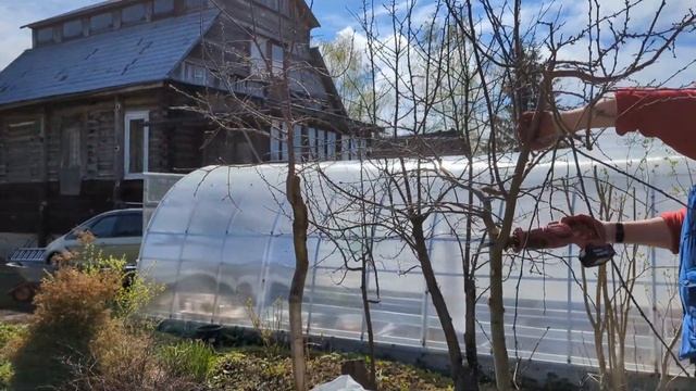 02.05.24.Дача..Посадили Абрикос чемпион севера 😉и чуть картошечки🤪 смотреть онлайн