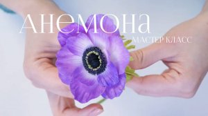 Анемона мастер класс из полимерной глины