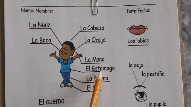 Page 46 in our workbook смотреть онлайн