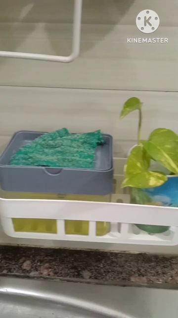 Sink organization ideas#sink makeover#shorts смотреть онлайн