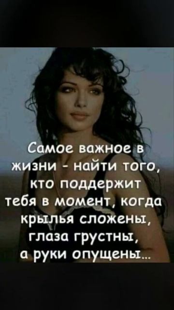 Афоризмы, выражения, анекдоты(1) смотреть онлайн