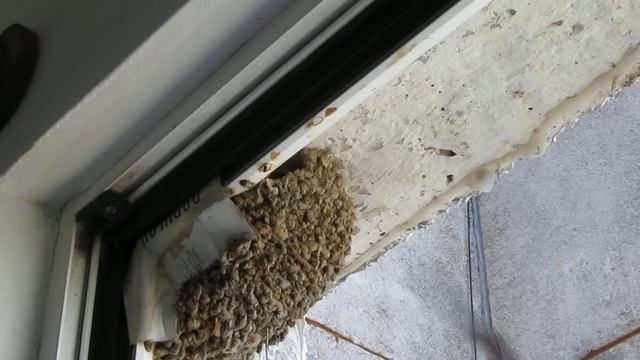 Лястовиче гнездо смотреть онлайн