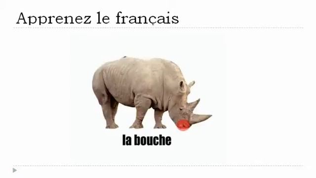 урок французского языка = носорога смотреть онлайн